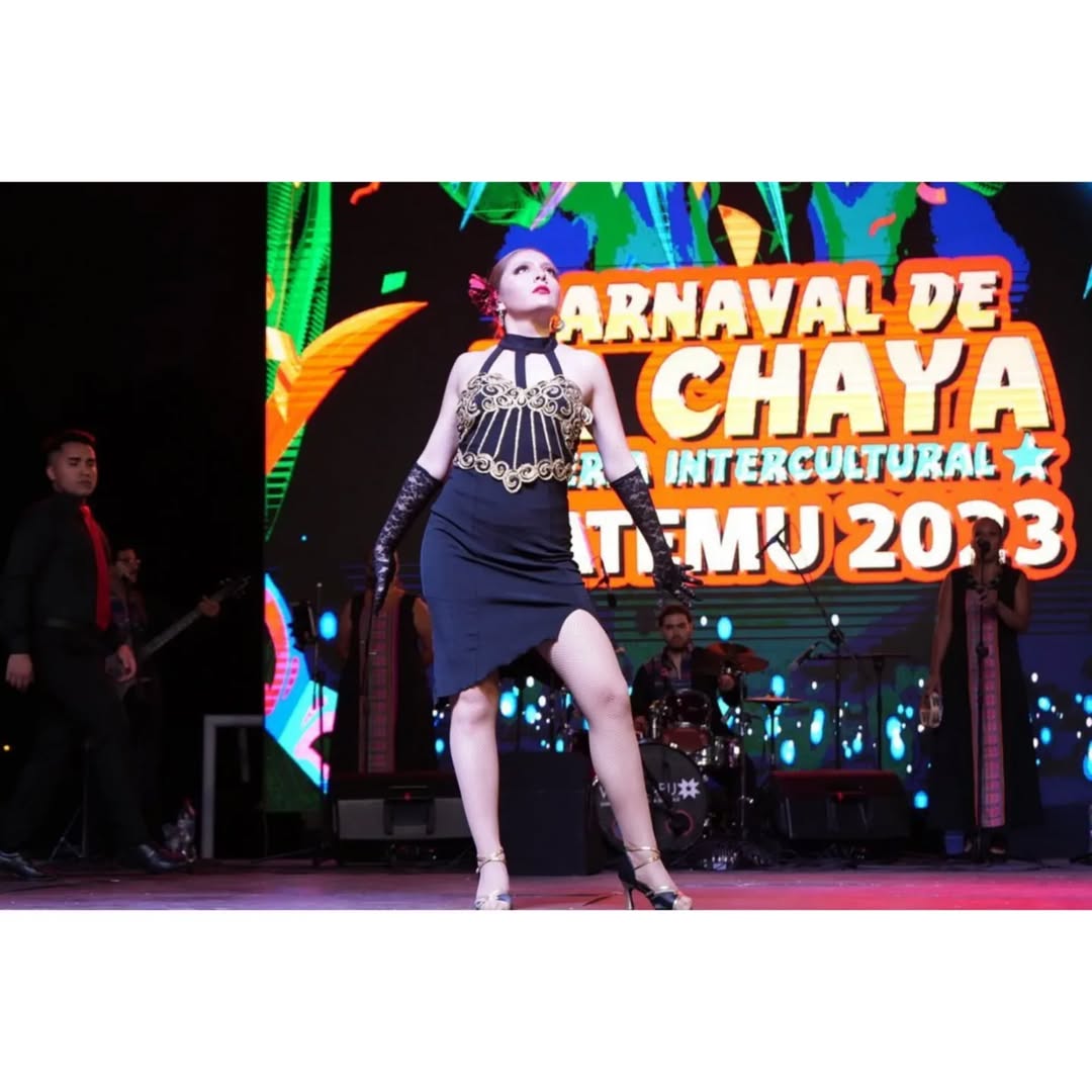 2023 Carnaval de la Chaya &#8211; Feria expositiva de la interculturalidad: Los pueblos que forman Chile. Aprobado por el consejo regional de Valparaíso