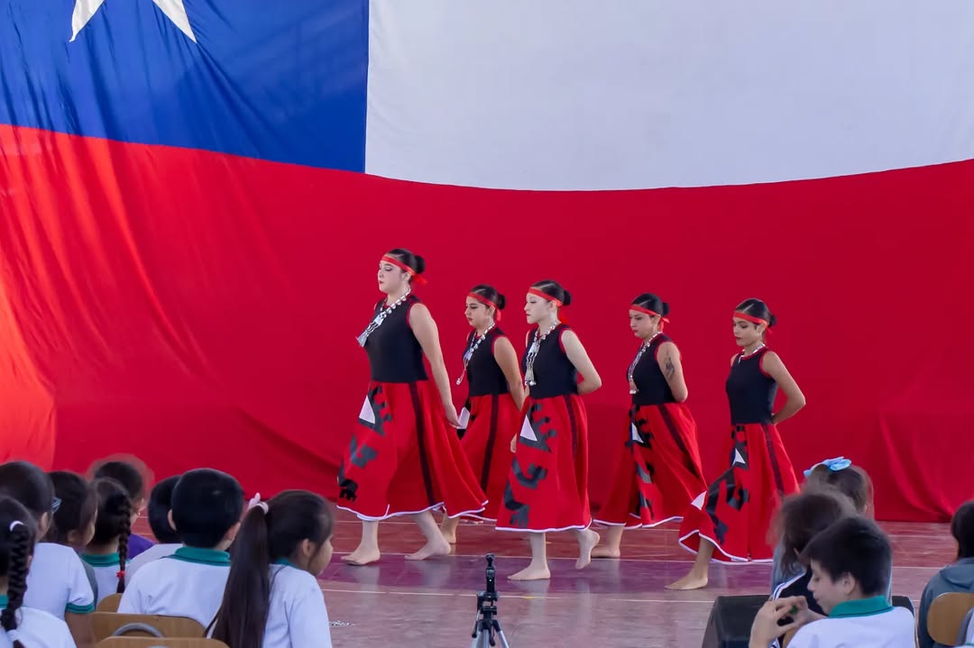 2024 PROYECTO «MONTAJE DE ESPECTÁCULO FOLCLÓRICO Y PRESENTACIONES: CATEMU, QUINTERO, PUCHUNCAVÍ, PETORCA, PUTAENDO Y CALLE LARGA» FINANCIADO POR FNDR DEL GORE 2023 y APROBADO POR CONSEJO REGIONAL VALPARAÍSO
